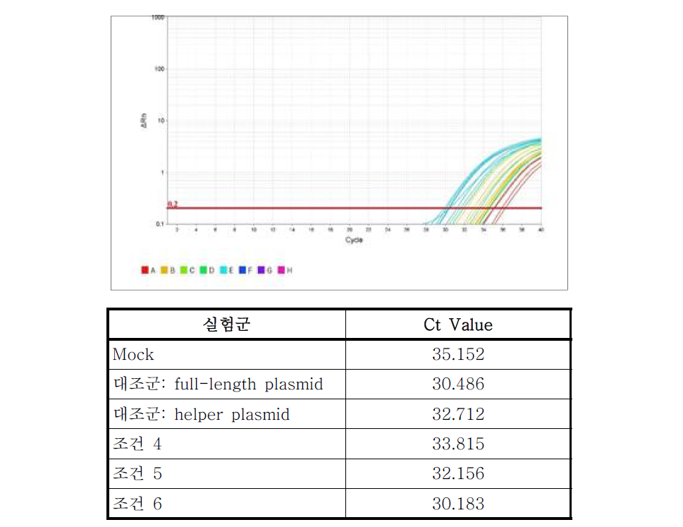 qRT-PCR을 통한 유행성이하선염 바이러스 제작여부 분석결과