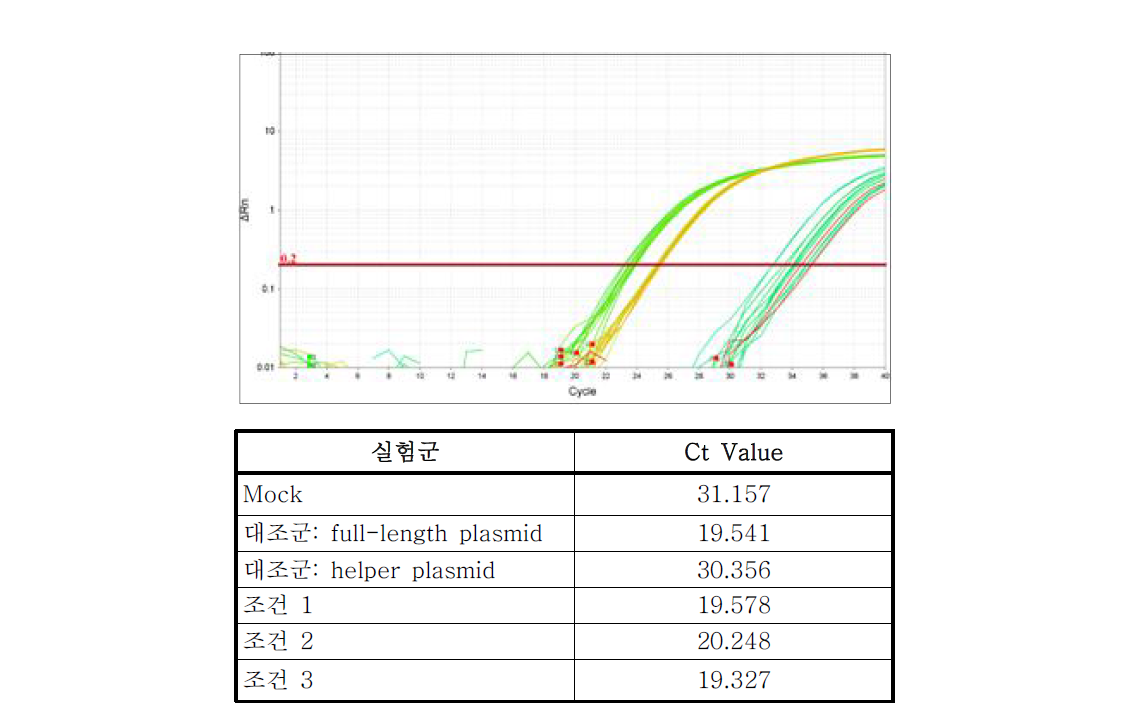 qRT-PCR을 통한 유행성이하선염 바이러스 제작여부 분석결과