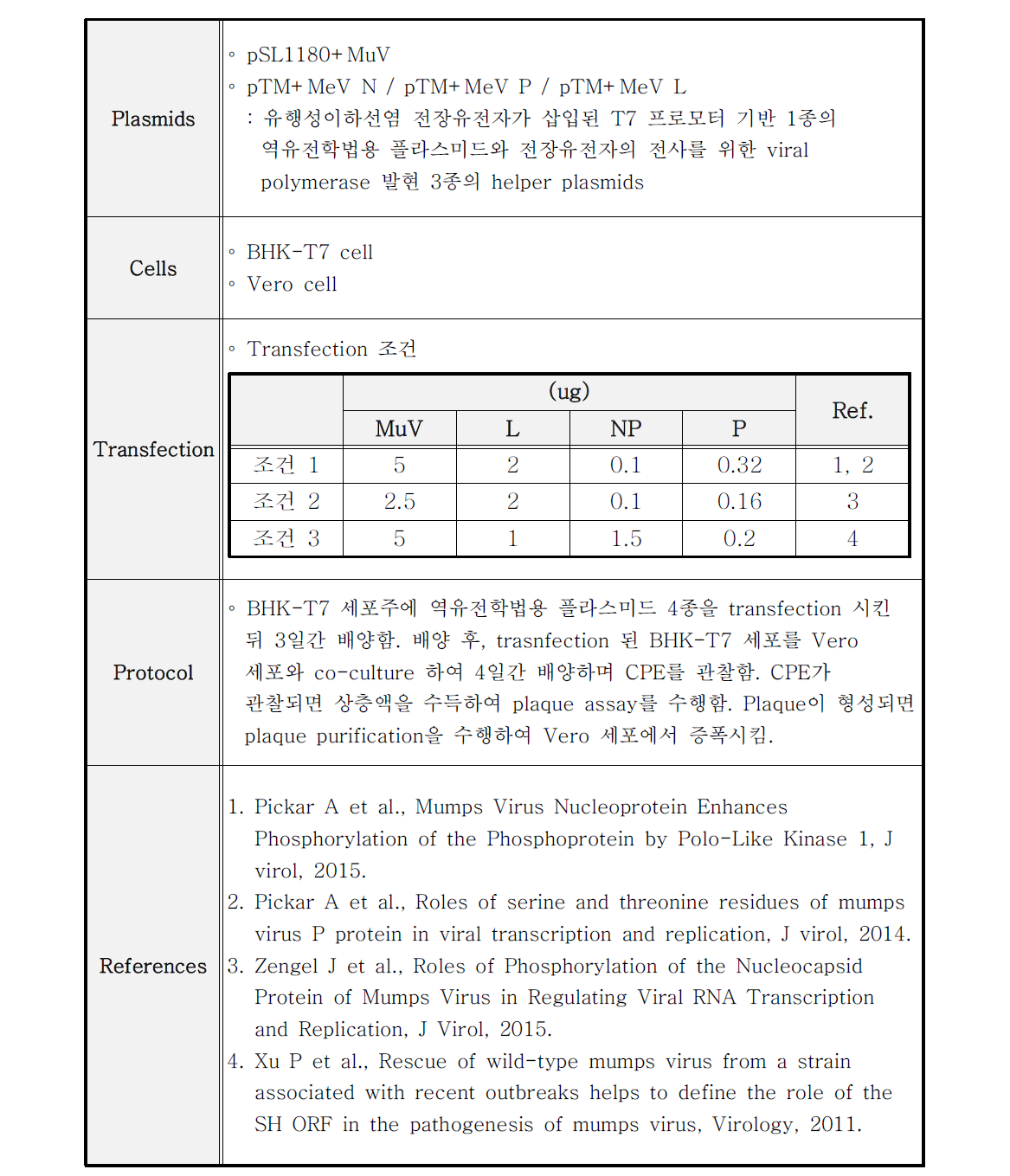 재조합 유행성이하선염 바이러스 제작 시도