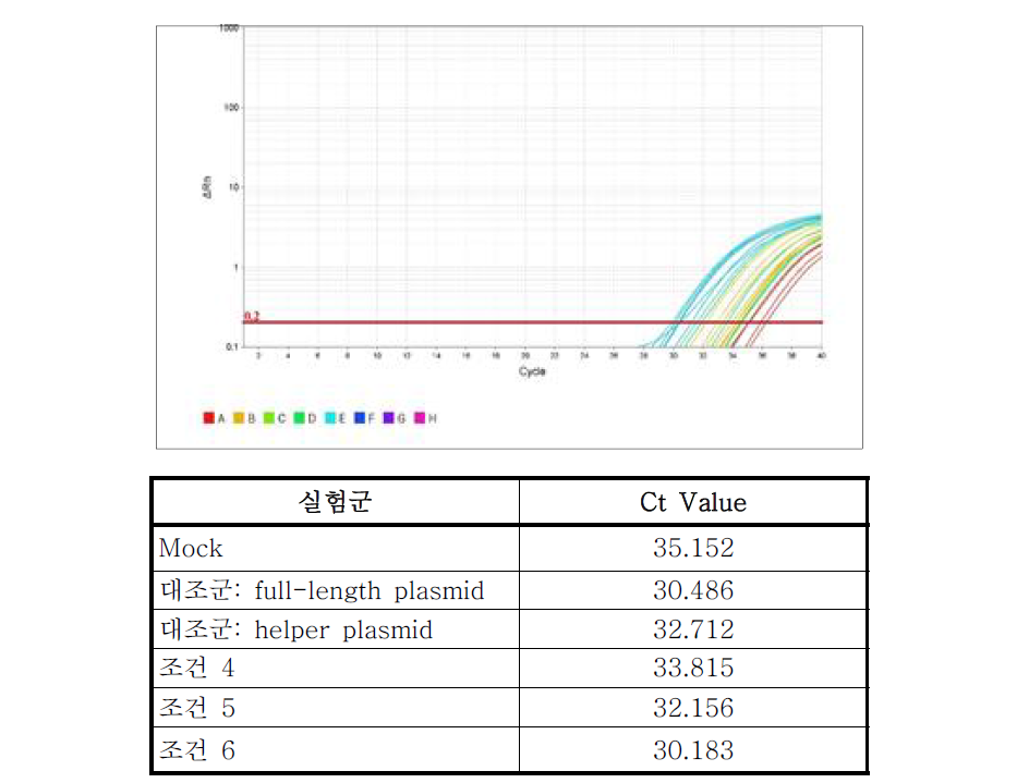 qRT-PCR을 통한 유행성이하선염 바이러스 제작여부 분석결과