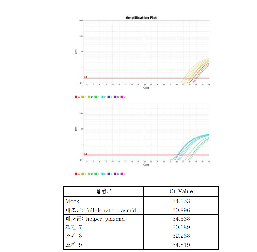 qRT-PCR을 통한 유행성이하선염 바이러스 제작여부 분석결과