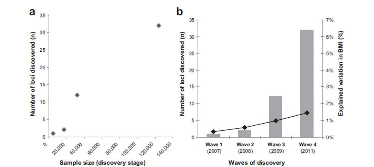 GWAS를 통해 발굴된 비만 관련 유전자 수와 BMI에 대한 설명력