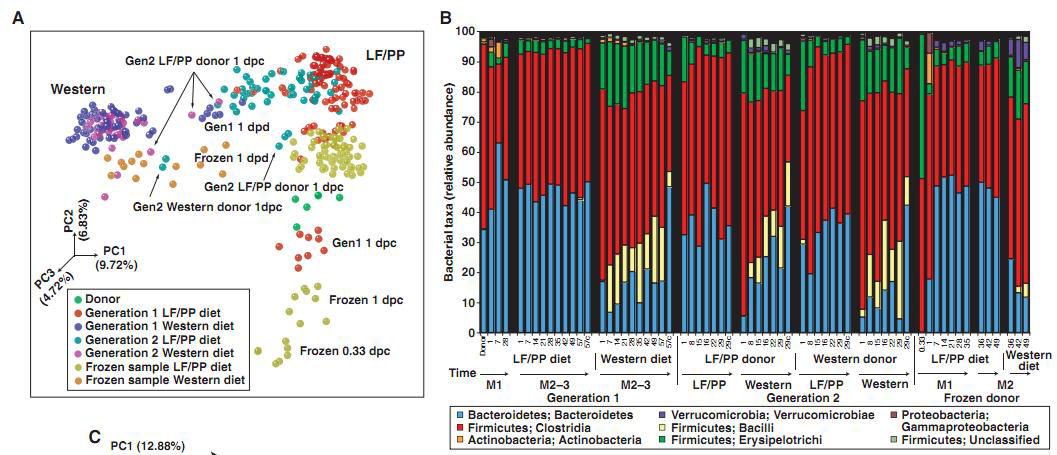 The effects of switching from the LF/PP diet to the Western diet on the humanized mouse gut microbiota.