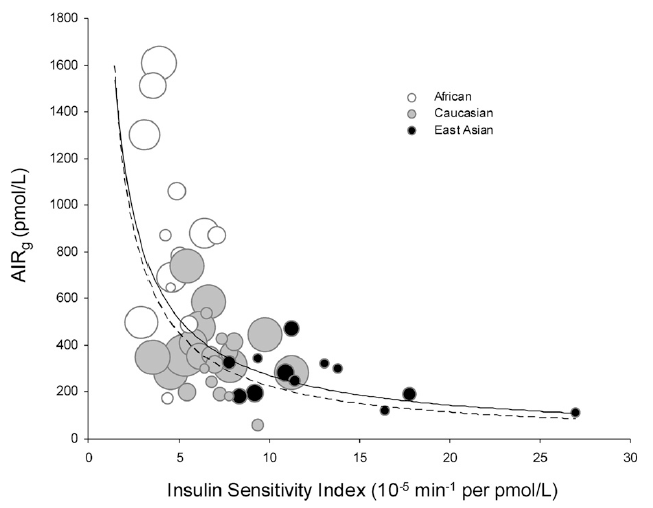 인종 간 인슐린 민감도와 분비능력의 차이