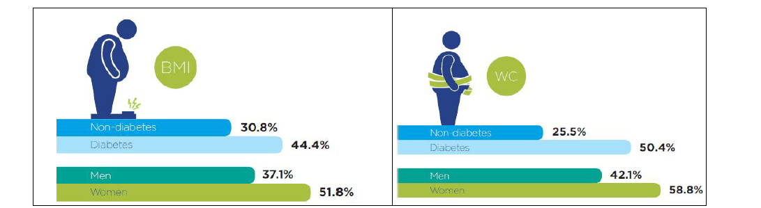 한국인 당뇨병환자의 비만 유병률