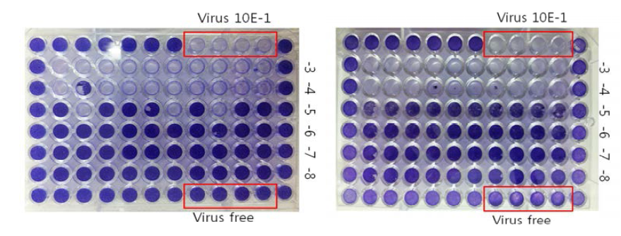 Titration of target viruses using micro-titration