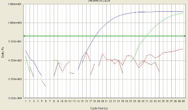 Confirmation of removal of hGAPDH when real-time RT-PCR was used