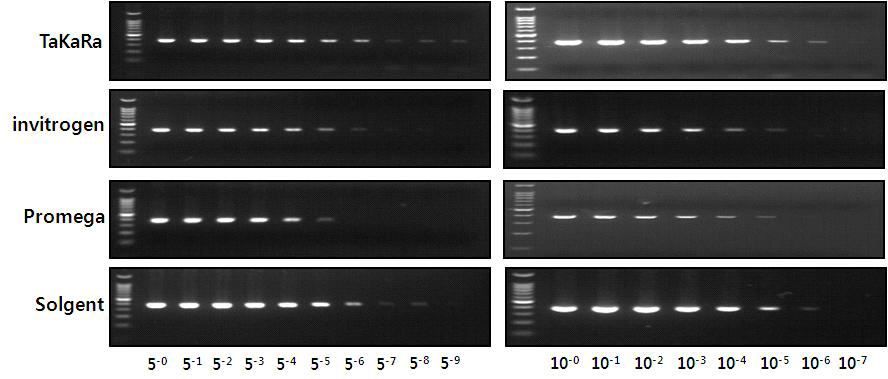 Comparison of PCR efficiency for 4 kinds of the Taq polymerases