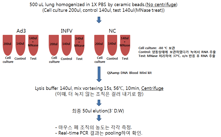 RNA/DNA extraction procedure