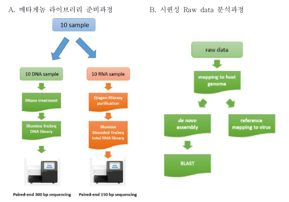 Analysis scheme for Illumina Mi-seq sequencing