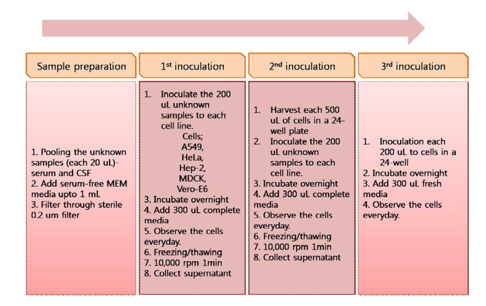 Strategy and methods of unknown virus isolation