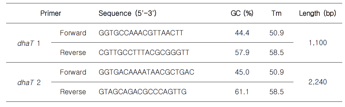 PCR 분석에 사용된 유전자 dhaT 염기서열 내 primer 서열