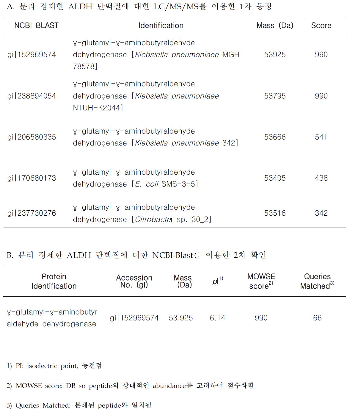 신규발현 ALDH 단백질 동정 결과