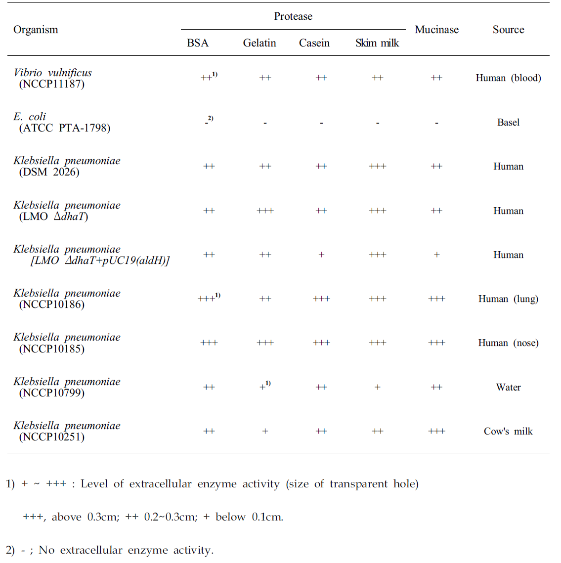 Klebsiella pneumoniae를 이용한 세포외효소 활성평가 결과