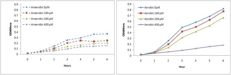 Effect of Iron limited (2,2’-dipyridyl) and Oxygen on growth of S. flexneri 2457T in LB broth