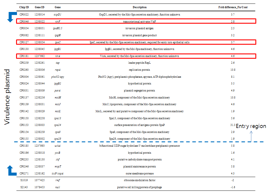 Fold charge in expression of genes related to putative fibronectin