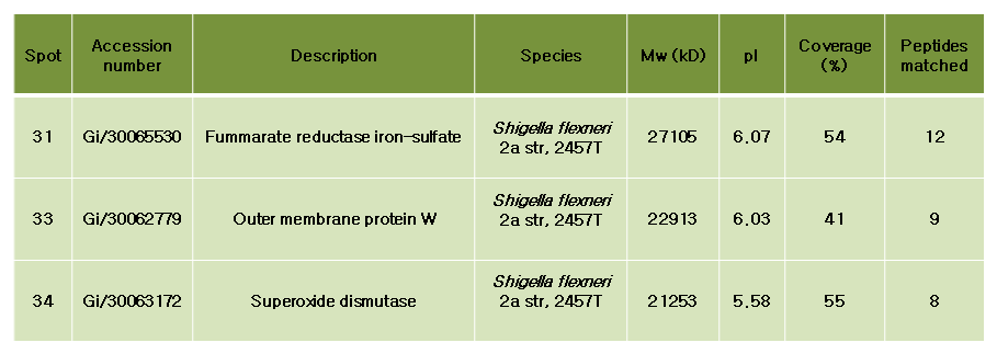 The search results for the identification of Fibronectin binding Proteins