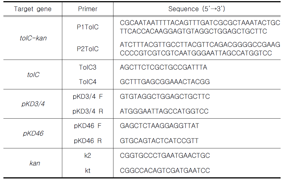 Primers used in PCR amplifications