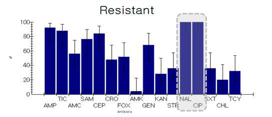 Antibiotic resistance pattern of 26 selected EAEC strains by disk diffusion