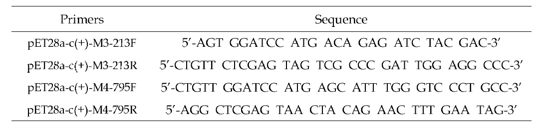 pET28a-c(+) 벡터를 이용한 단백질 발현을 위한 primers