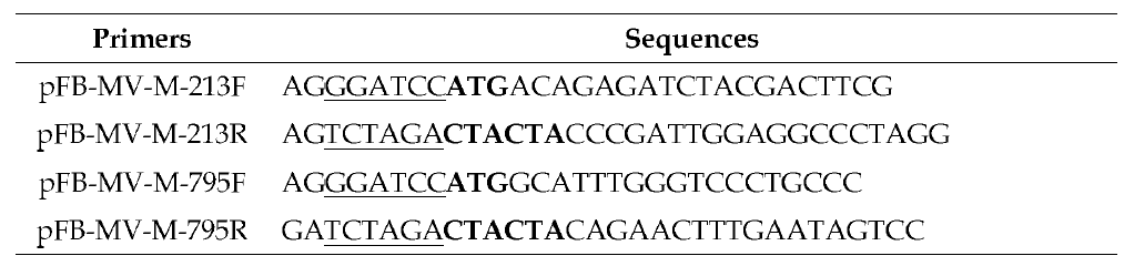 SSPE 검체의 M gene을 기준으로 truncated-M 단백질발현을 위한 primers