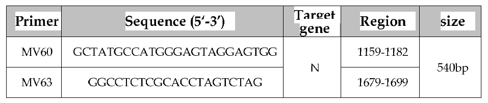 홍역바이러스 RT-nested PCR의 primer