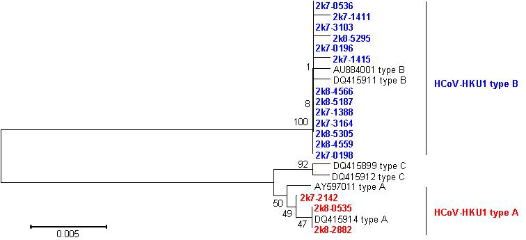 Sequence homology of HCoV-HKU1 Pol gene