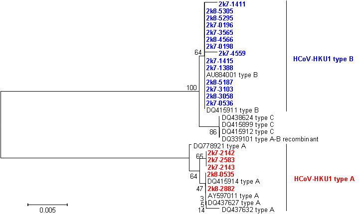 Sequence homology of HCoV-HKU1 N gene