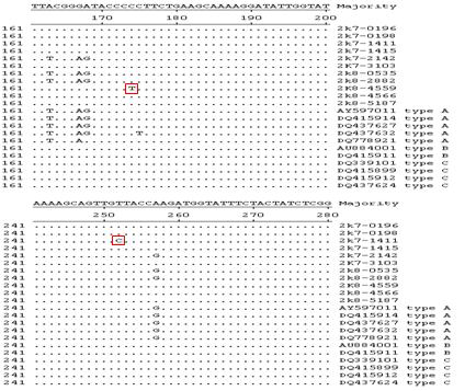 Sequence identity of HCoV-HKU1 N genes