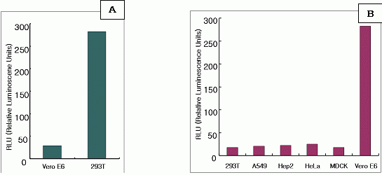 Relative Luminoscence Units (RLU) of pseudovirus harboring SARS-spike protein