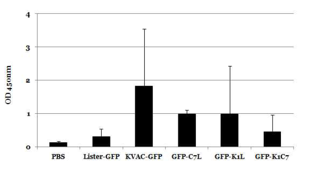 GFP 항원을 이용한 약독화 백시니아 클론의 Total IgG 확인