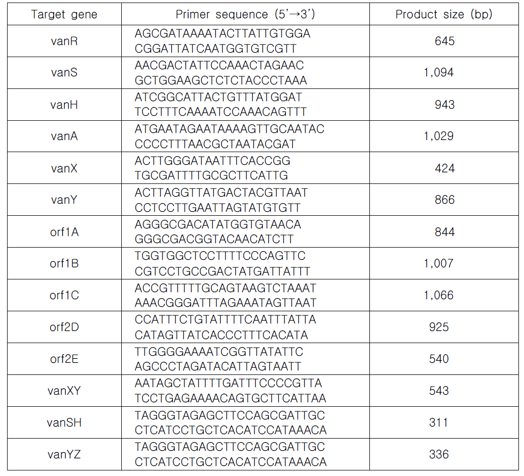 Primer sequences and product size for structure analysis of Tn1546