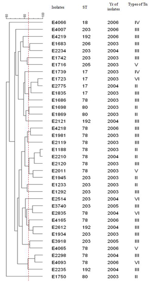 PFGE patterns of vancomycin-resistant E. faecium from hospitals