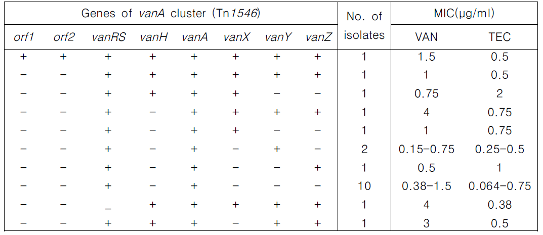 vanA cluster in vanA-type VSE isolates