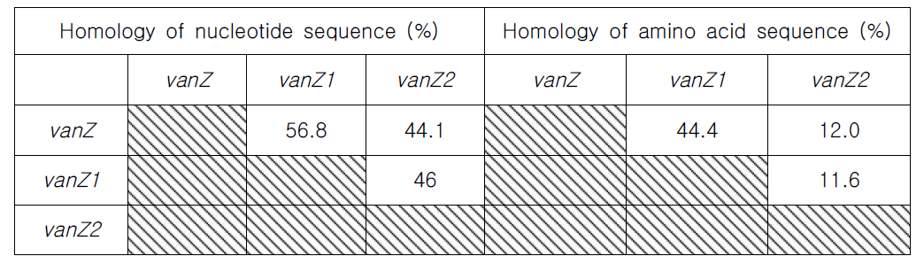 Percent identity in nucleotide sequences and amino acid