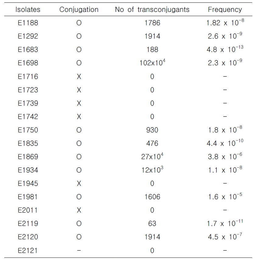 Transfer of vancomycin resistance marker from E. faecium isolates to E. faecalis JH2-2