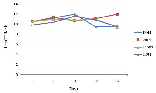 Growth of three E. faecium and one E. faecalis isolates in BHI broth during 15 days