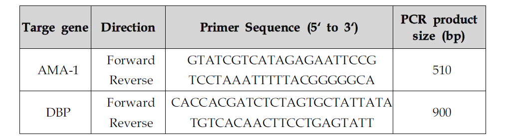 AMA-1과 DBP PCR 프라이머