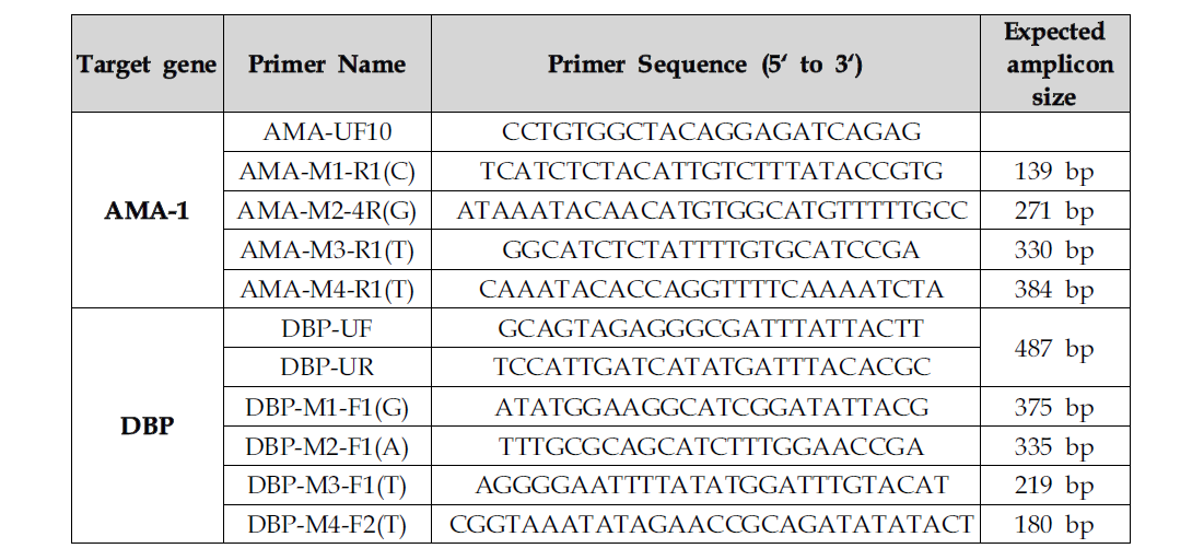 AMA-1과 DBP ASP 프라이머 목록