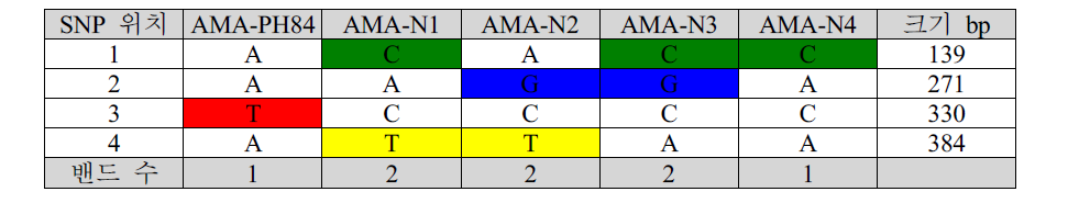 AMA-1 subtype간의 SNP 분석 및 결과 예측