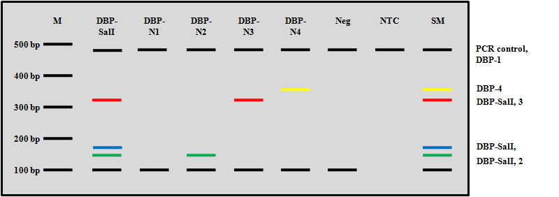 ASP를 이용한 DBP subtype 분석 결과 예측