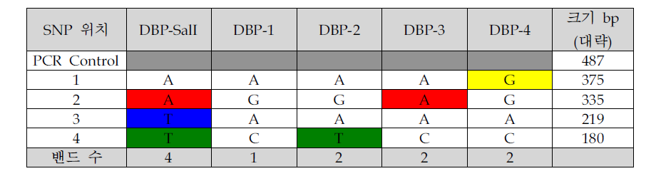 DBP subtype간의 SNP 분석 및 결과 예측