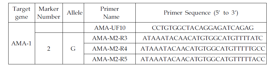 새로운 AMA-1 M2 primer 염기서열