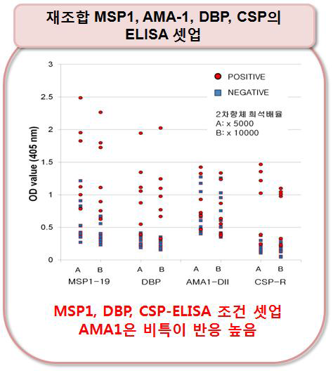 삼일열말라리아 재조합 단백질 항원을 이용한 ELISA법 셋팅