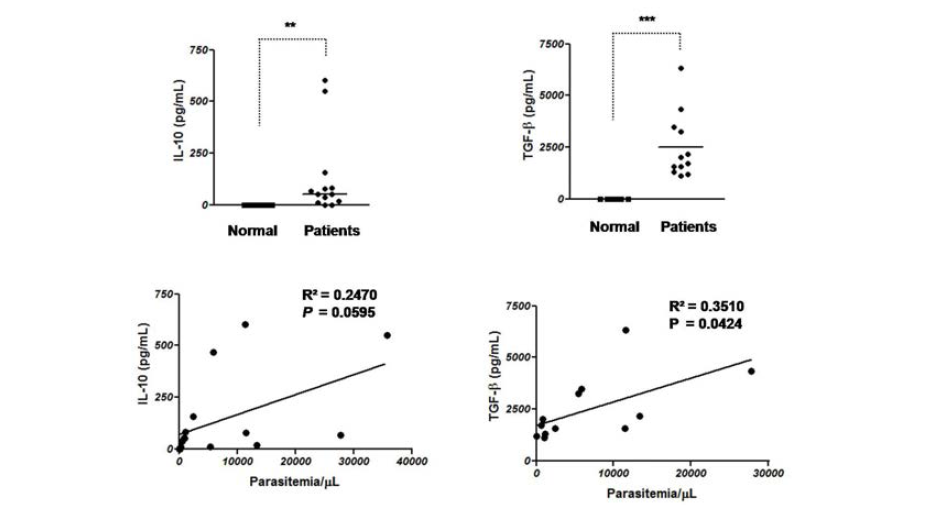 삼일열말라리아 환자군에서의 IL-10, TGF-β 분비 확인