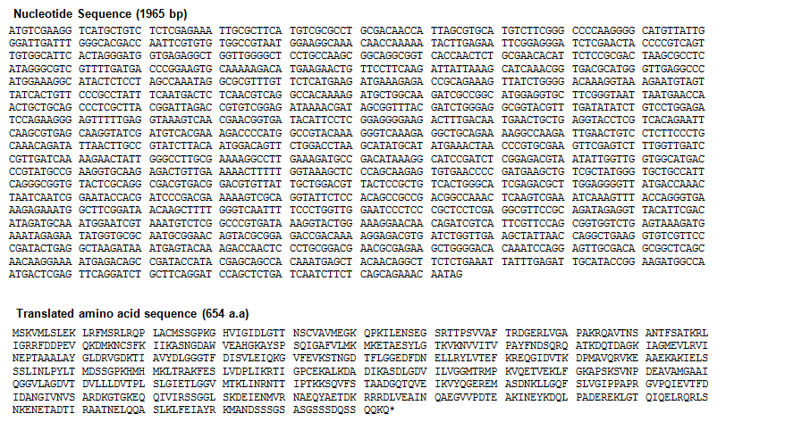 Nucleotide sequences and translated amino acid sequences of CsHSP70 from C. sinensis