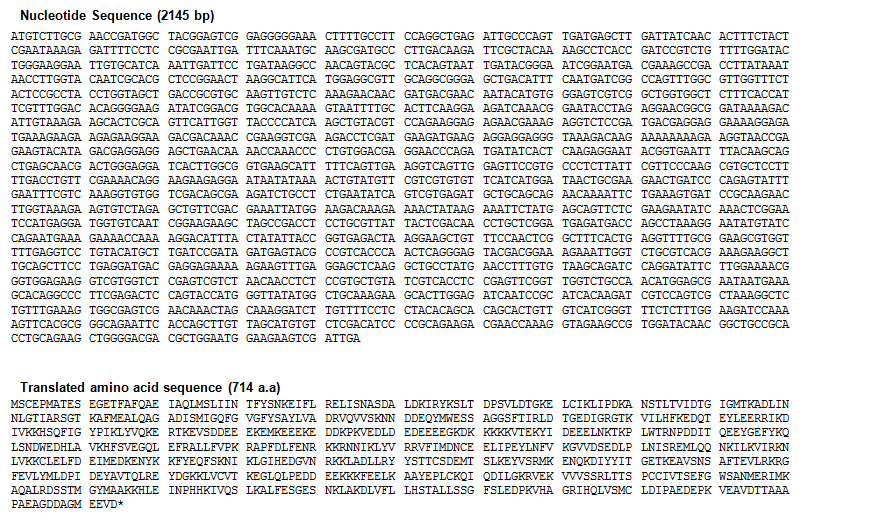 Nucleotide sequences and translated amino acid sequences of CsHSP90 from C. sinensis