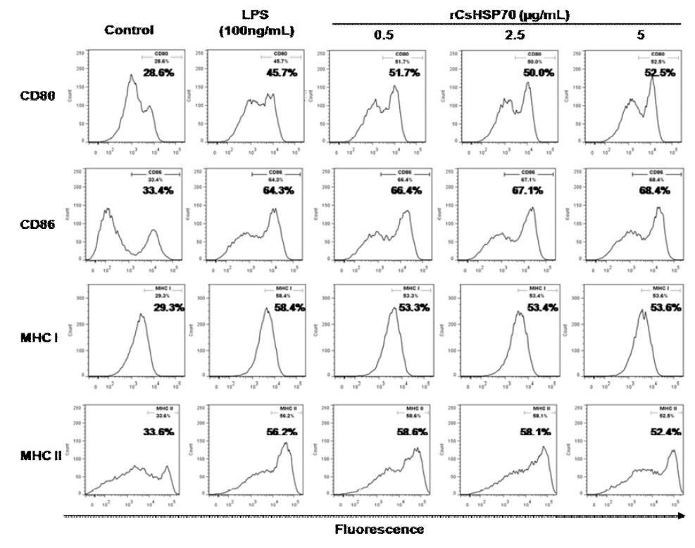 Surface markers of rCsHSP70-treated dendritic cell