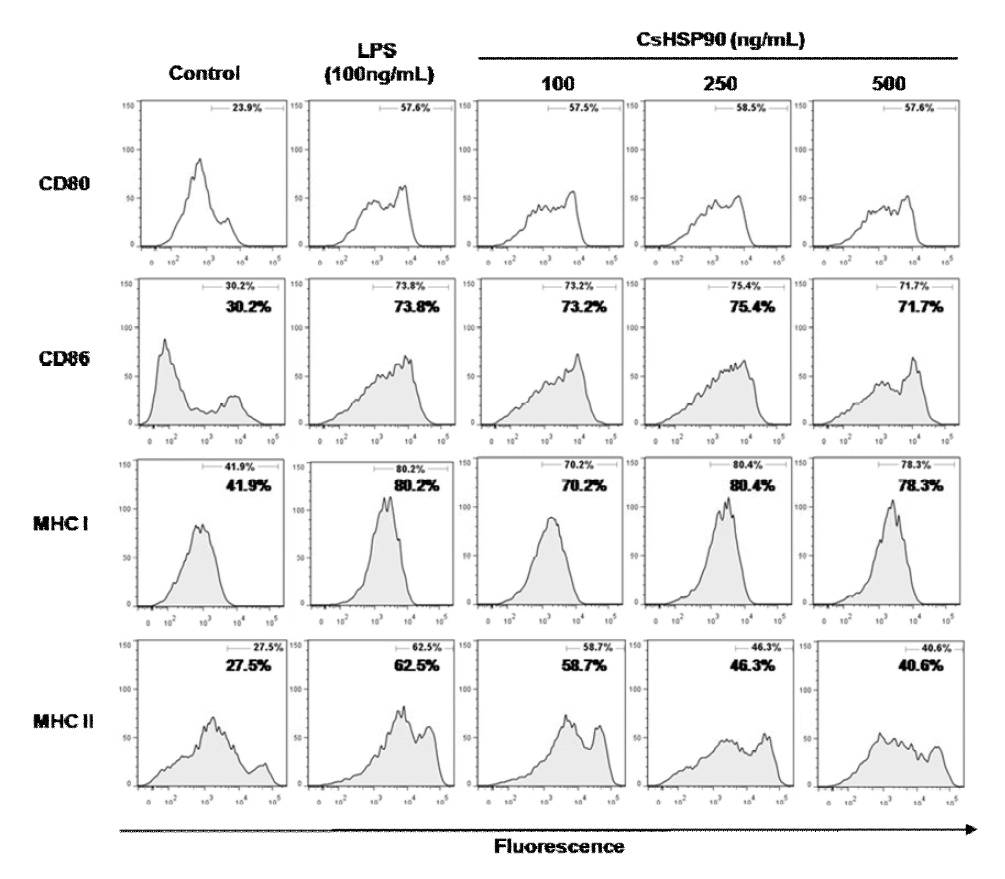 Surface markers of rCsHSP90-treated dendritic cell