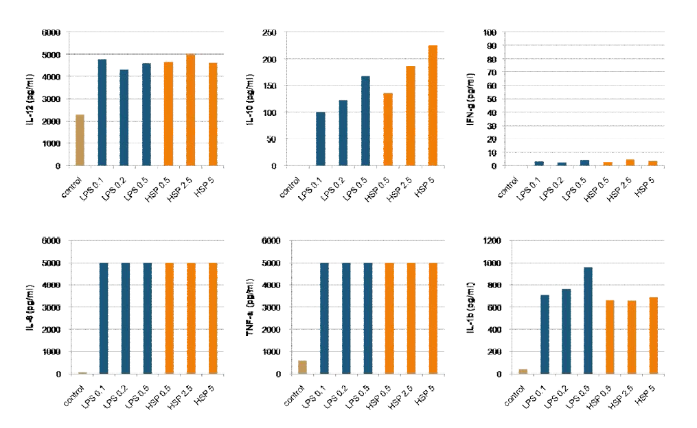 Cytokine secretion in rCsHSP70-treated DCs